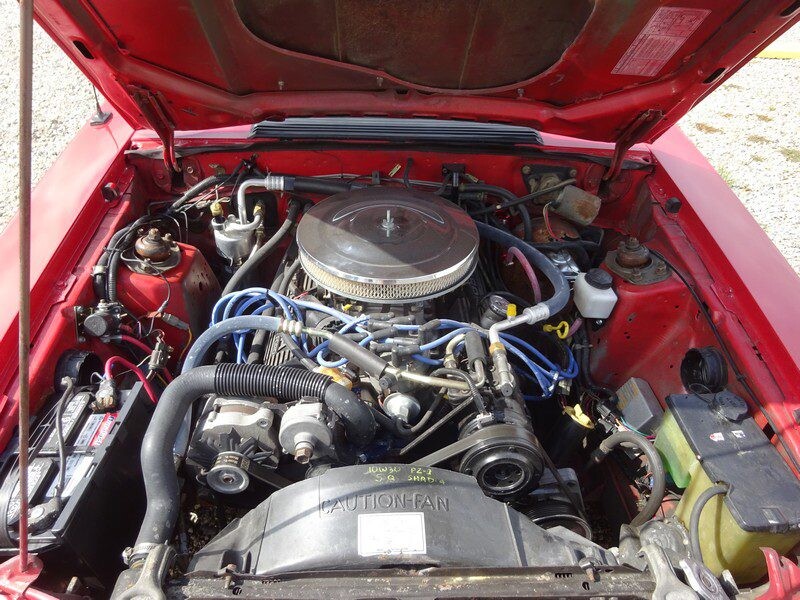 Red Ford Mustang engine bay.
