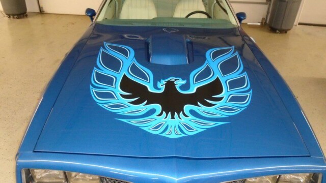Blue Pontiac Firebird with bird decal.