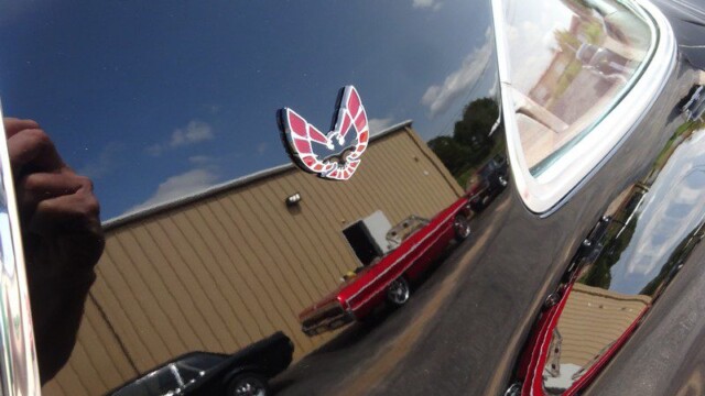 Black Pontiac Trans Am bird emblem.
