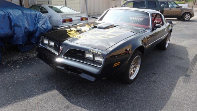Black Pontiac Trans Am muscle car.