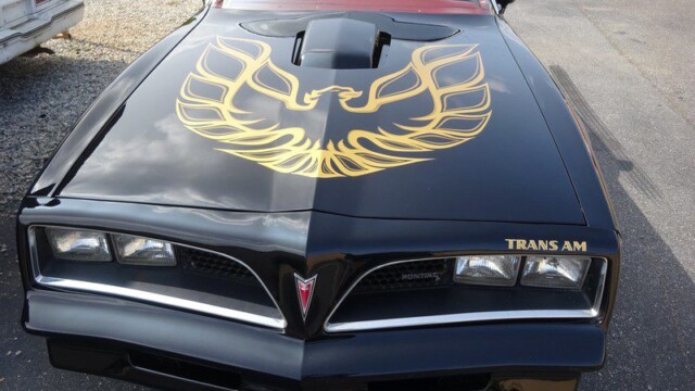 Black Pontiac Trans Am with gold bird.
