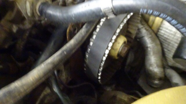 Close-up of engine belt and hoses.