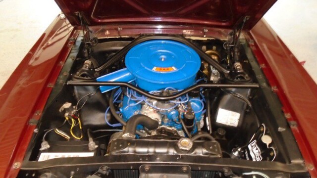 Maroon Mustang with blue round air cleaner