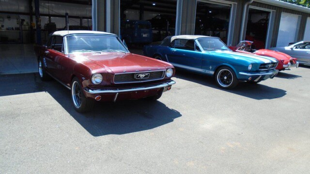 Classic Ford Mustangs in garage.